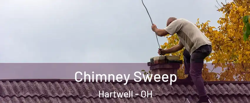 Chimney Sweep Hartwell - OH