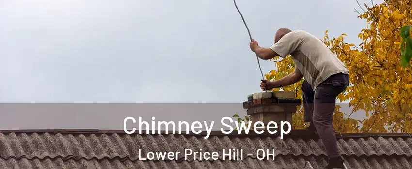 Chimney Sweep Lower Price Hill - OH