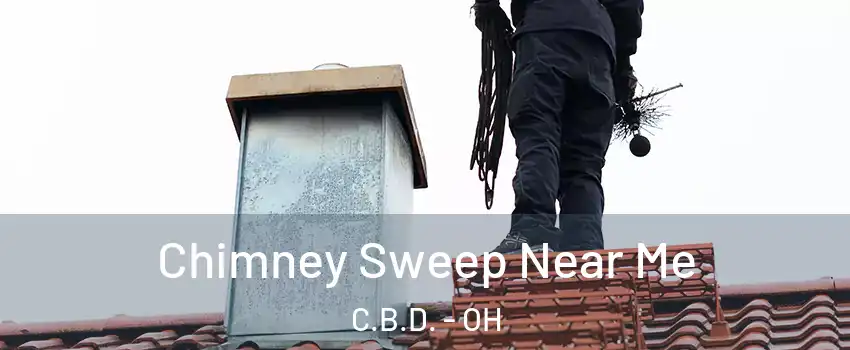 Chimney Sweep Near Me C.B.D. - OH