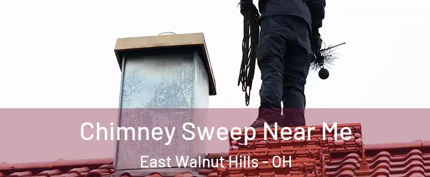 Chimney Sweep Near Me East Walnut Hills - OH