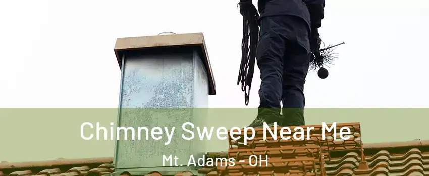 Chimney Sweep Near Me Mt. Adams - OH