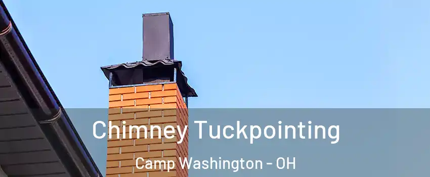 Chimney Tuckpointing Camp Washington - OH