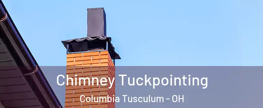 Chimney Tuckpointing Columbia Tusculum - OH