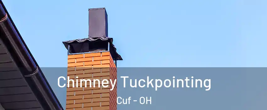 Chimney Tuckpointing Cuf - OH