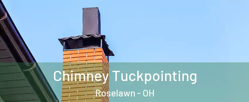 Chimney Tuckpointing Roselawn - OH