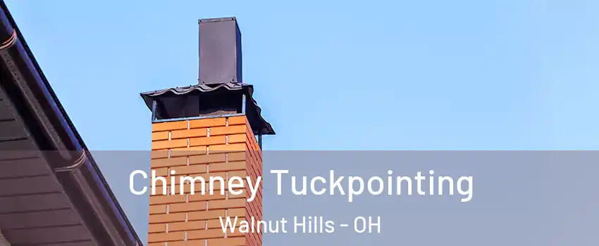 Chimney Tuckpointing Walnut Hills - OH