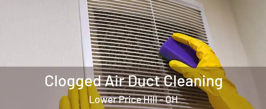 Clogged Air Duct Cleaning Lower Price Hill - OH