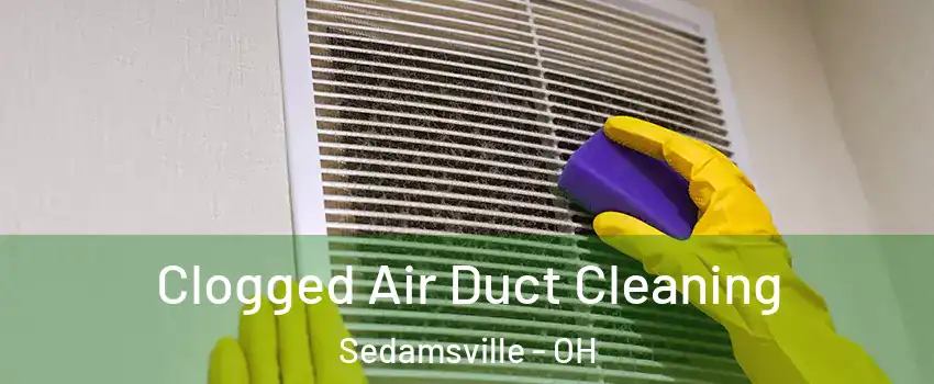 Clogged Air Duct Cleaning Sedamsville - OH