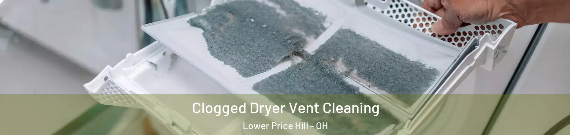 Clogged Dryer Vent Cleaning Lower Price Hill - OH