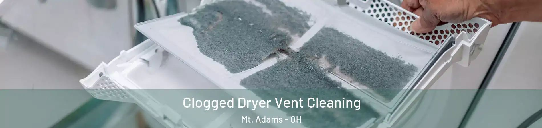 Clogged Dryer Vent Cleaning Mt. Adams - OH