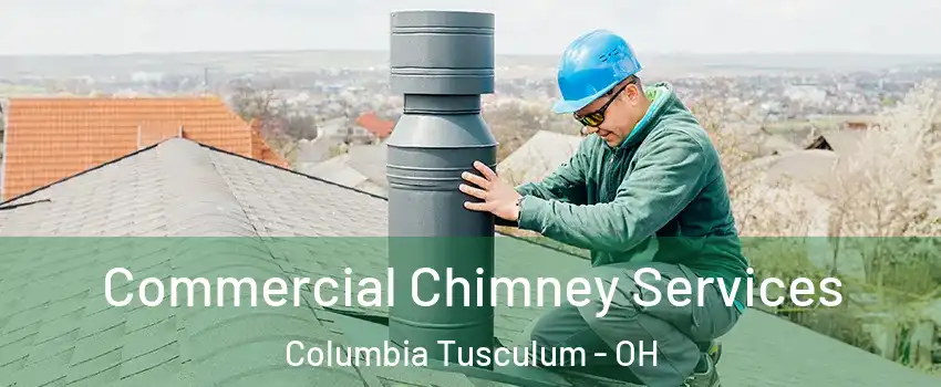 Commercial Chimney Services Columbia Tusculum - OH