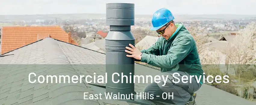 Commercial Chimney Services East Walnut Hills - OH