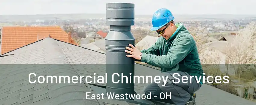 Commercial Chimney Services East Westwood - OH