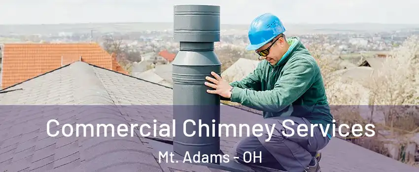 Commercial Chimney Services Mt. Adams - OH