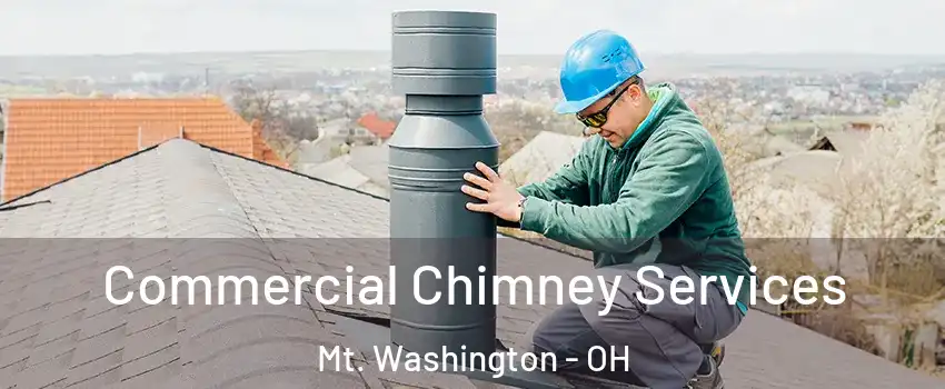 Commercial Chimney Services Mt. Washington - OH