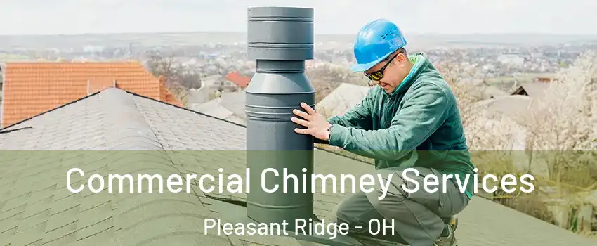 Commercial Chimney Services Pleasant Ridge - OH