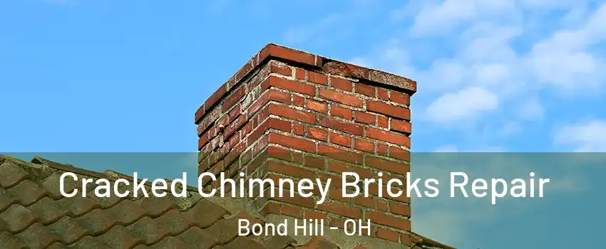 Cracked Chimney Bricks Repair Bond Hill - OH