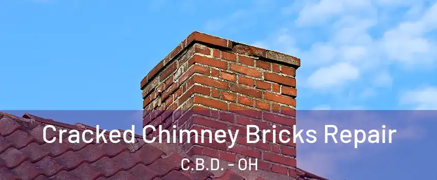 Cracked Chimney Bricks Repair C.B.D. - OH