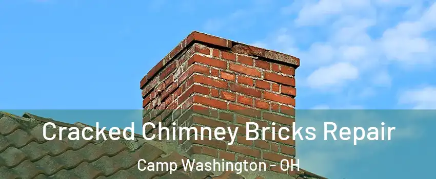 Cracked Chimney Bricks Repair Camp Washington - OH