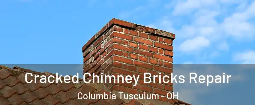 Cracked Chimney Bricks Repair Columbia Tusculum - OH