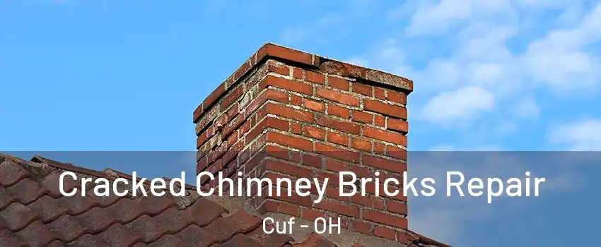 Cracked Chimney Bricks Repair Cuf - OH