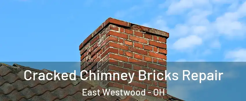 Cracked Chimney Bricks Repair East Westwood - OH