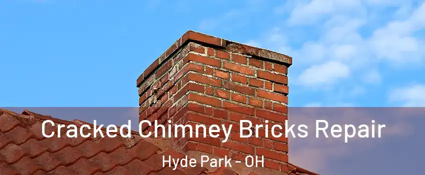 Cracked Chimney Bricks Repair Hyde Park - OH