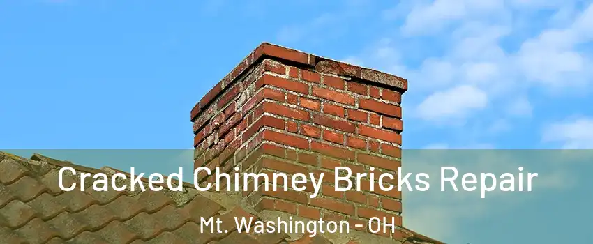 Cracked Chimney Bricks Repair Mt. Washington - OH