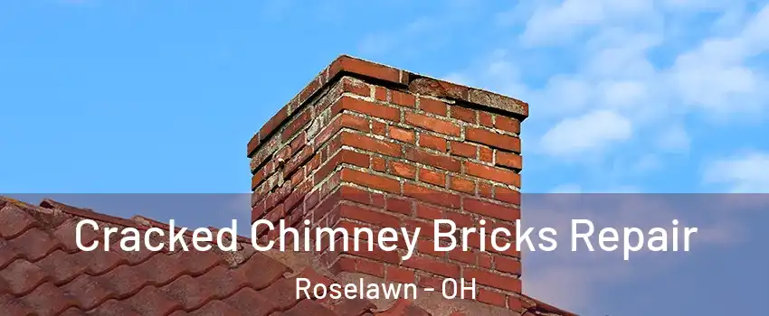 Cracked Chimney Bricks Repair Roselawn - OH