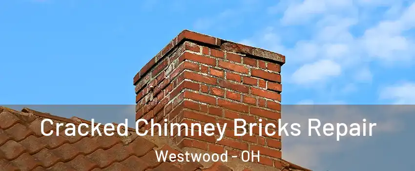 Cracked Chimney Bricks Repair Westwood - OH