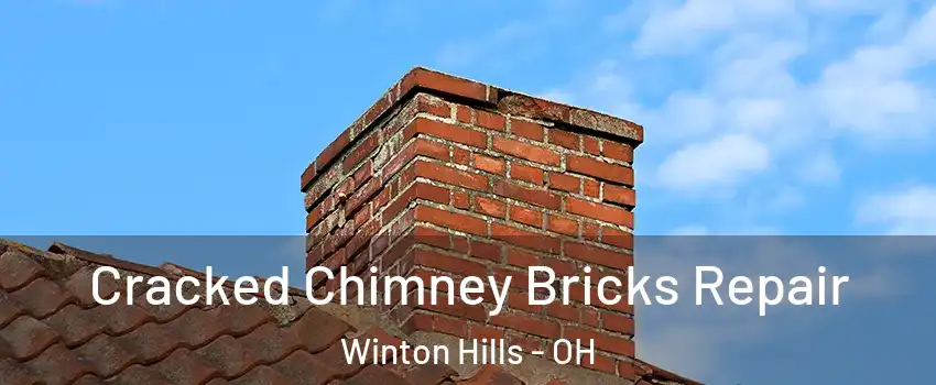 Cracked Chimney Bricks Repair Winton Hills - OH