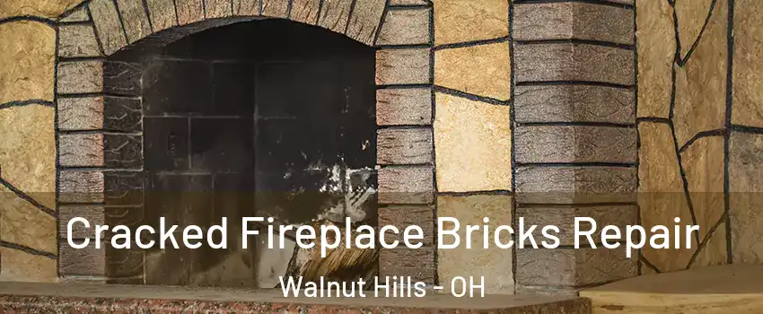 Cracked Fireplace Bricks Repair Walnut Hills - OH