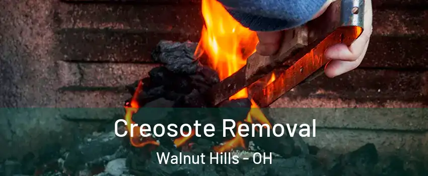 Creosote Removal Walnut Hills - OH