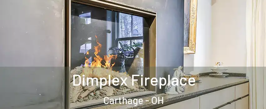 Dimplex Fireplace Carthage - OH