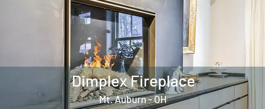 Dimplex Fireplace Mt. Auburn - OH