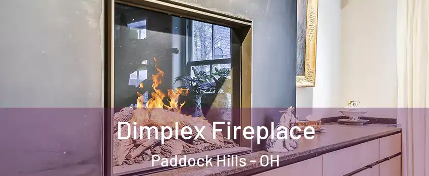 Dimplex Fireplace Paddock Hills - OH