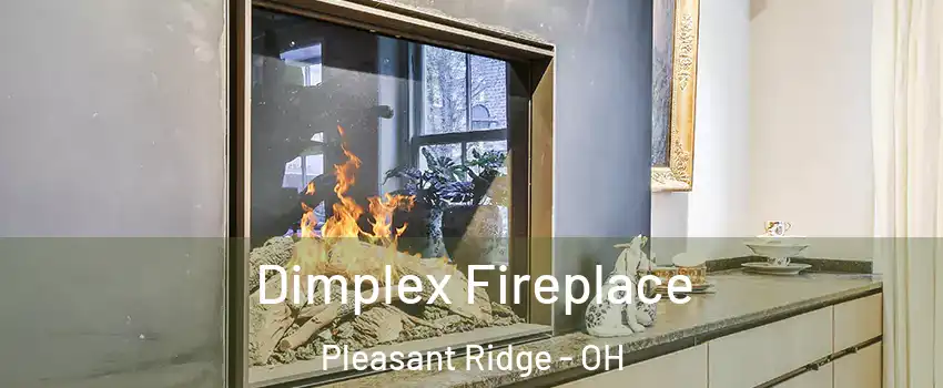 Dimplex Fireplace Pleasant Ridge - OH