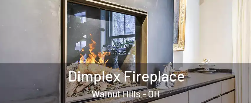 Dimplex Fireplace Walnut Hills - OH