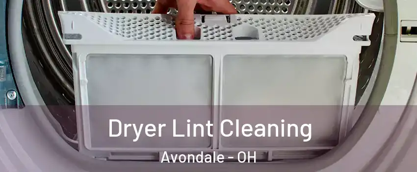 Dryer Lint Cleaning Avondale - OH