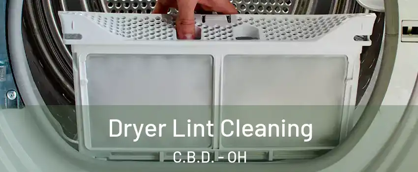 Dryer Lint Cleaning C.B.D. - OH