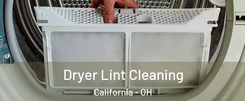 Dryer Lint Cleaning California - OH