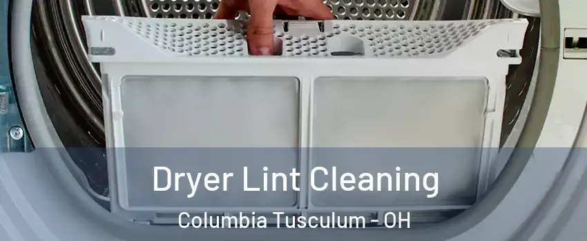 Dryer Lint Cleaning Columbia Tusculum - OH