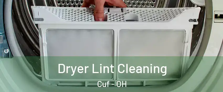 Dryer Lint Cleaning Cuf - OH