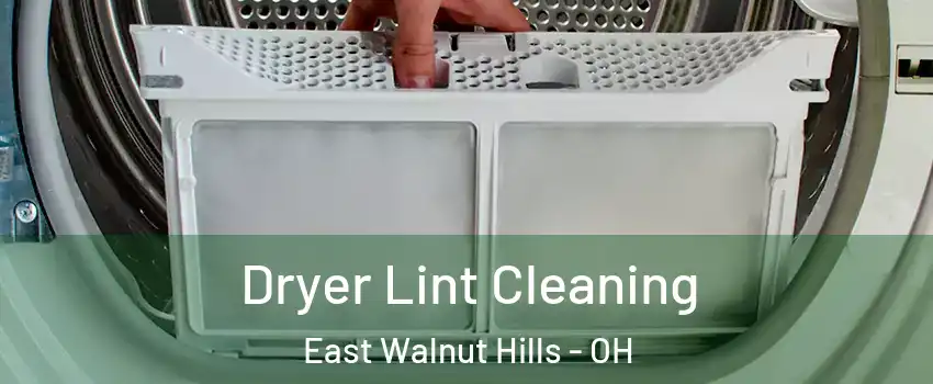 Dryer Lint Cleaning East Walnut Hills - OH