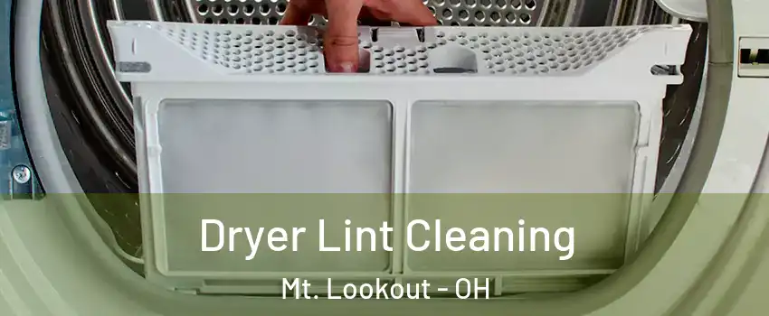 Dryer Lint Cleaning Mt. Lookout - OH