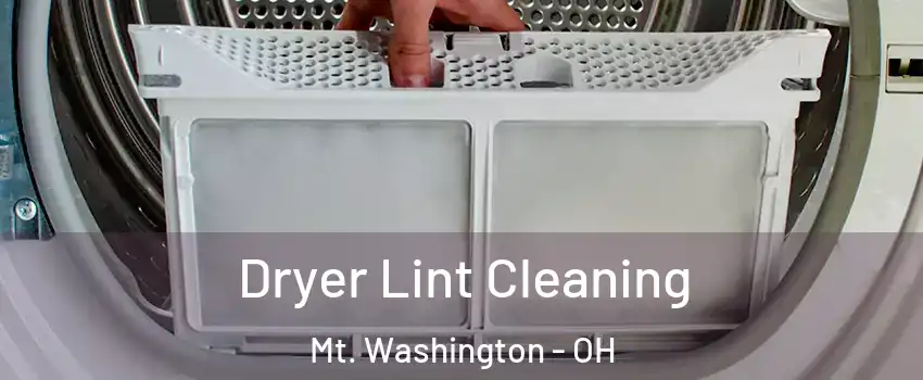 Dryer Lint Cleaning Mt. Washington - OH