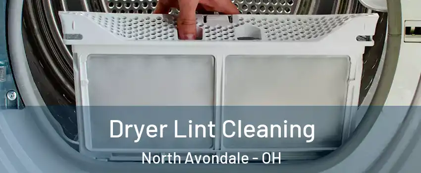 Dryer Lint Cleaning North Avondale - OH