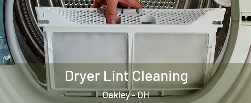 Dryer Lint Cleaning Oakley - OH