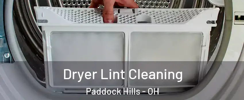 Dryer Lint Cleaning Paddock Hills - OH