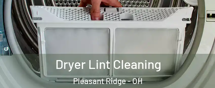 Dryer Lint Cleaning Pleasant Ridge - OH